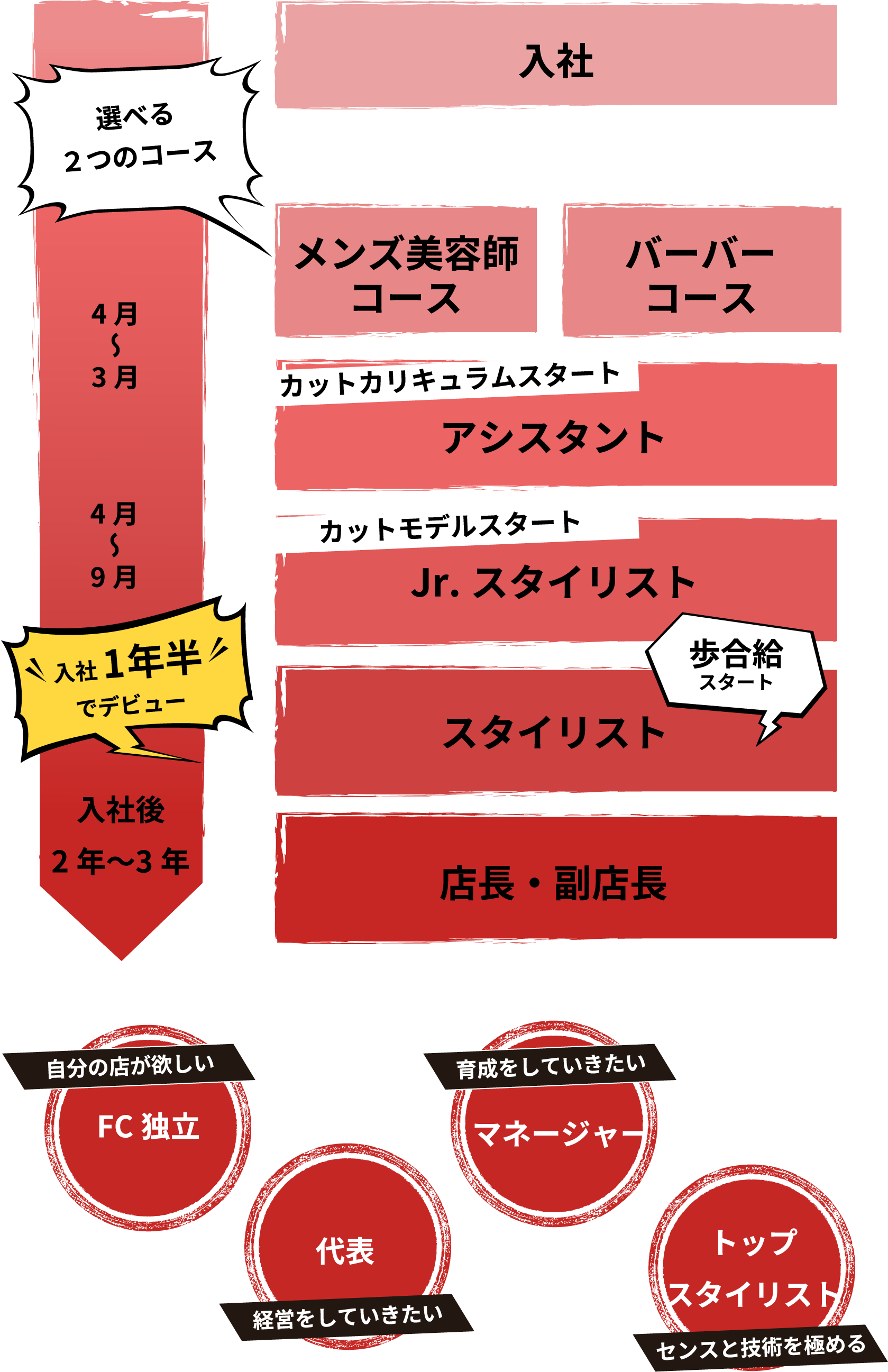 キャリアパス